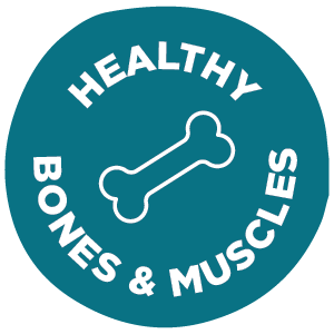 healthy-bones-muscles