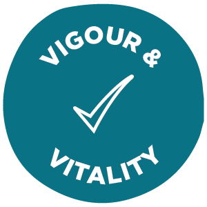 vigour-vitality